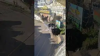 Toy Train 🚂. #darjeeling #train #railway #metro #car #racing #jcb #tractor #travel #flight #vehicle
