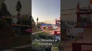 Homestay at Lamahata #kanchenjunga #mountains #hills #shorts #travel #home #minivlog #subscribe