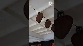 Innovative Fan - Automatic #fun #technology #creativity