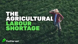 The Agricultural Labour Shortage