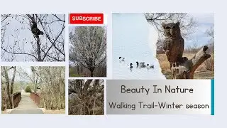 Connecting with nature on the walking trail #joanboke #vlog #nature
