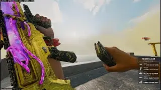FOUND THE BEST WARZONE LOADOUT