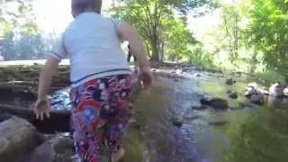 Beaver Brook