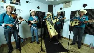 Conjunto De Arpa Grande (Rosa de Castilla) Los Rayitos De Michoacan