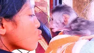 Sister show about loving to monkey LivLiv, Just arrived home she kiss 😘 LivLiv |Animals MT
