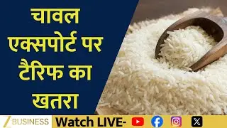 Rice Export Tariff Warning: What Trump&rsquo;s Statement Means for India!