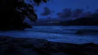 Ocean Waves for Relaxation 🌊 | Calming Ocean Sounds (Dark Screen)
