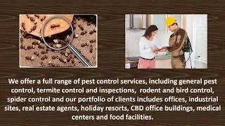 Hire Civic Pest Management For Blue Mountains Termite Control
