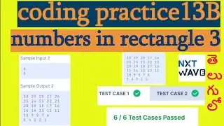coding practice 13B || numbers in rectangle 3 || NXT WAVE || CCBP || python beginner || Telugu lo ||
