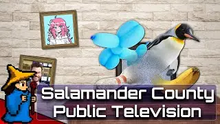 Live Salamander County Public Television Completo