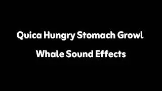 Quica Hungry Stomach Growl Whale Sound Effects #stomachgrowl #soundeffects 