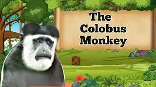 The Monkey has a cow's digestive system