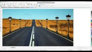 Shadow Tutorial in Corel Draw | Beginners | The Design Pedia | Eng Subtitle
