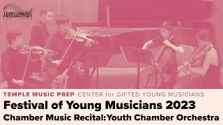 Festival of Young Musicians: Youth Chamber Orchestra - Chamber Music Recital