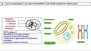 Examen national svt 2 bac svt option francais rattrapage 2021 (تصحيح الإمتحان الوطني كامل)