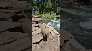 #jannatkashmir #beautifuldestinations #kashmirtrip #nature #beautifulplaces #explorekashmir
