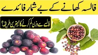 Health Benefits Of Phalsa Fruit - Falsa Khane K Fayde Urdu Hindi | Dr Junaid health tips