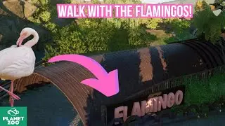 🦩Flamingo Habitat | Europe Franchise Zoo | No Commentary Speed Build