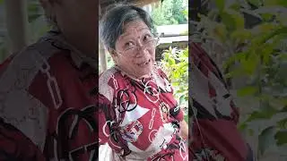 Nag inom sang synergreens nag ok pamatyag niya