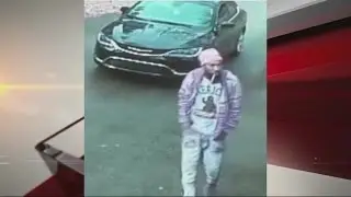 St. Clair County burglary suspect