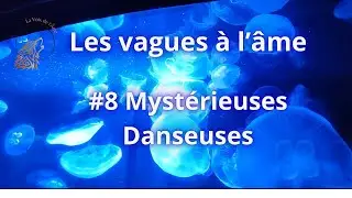 Saison 4 #008 Les vagues &agrave; l'&acirc;me M&eacute;duses La #dance des &acirc;mes #ocean #hearttouching #motivation
