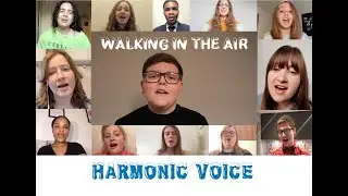 WALKING IN THE AIR - Stunning a capella Christmas cover by Harmonic Voice