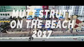 Halifax humane Society Mutt-Strut 2017 Aerial Highlight Reel