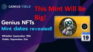Genius Yield NFTs Minting September 19 & 21 Yield Boost DeFi CNFTs Cardano DeFi CMattDye