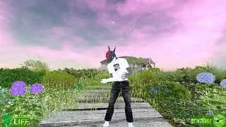 Second Life &ndash; Summer Trace, The Trace Too