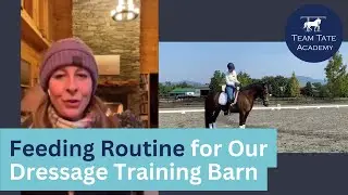 Feeding Routine for an International FEI Dressage Training Barn