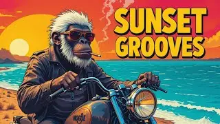 🌅 Sunset Grooves 🌵 1 Hour Cinematic Chill-Funk Guitar Vibes for Roadtrip, Study & Relax