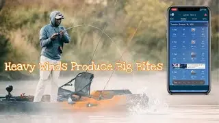 Insane Kayak Stability (20MPH Winds)- OldTown AutoPilot Tips