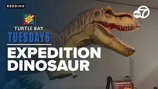 An animatronic adventure, Expedition Dinosaur: Rise of the Mammals!
