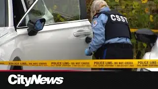 Homeowner attacked after confronting suspected car thieves in Toronto's west end