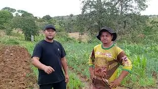 Notícias serra do boi poço dás trincheira Al 
