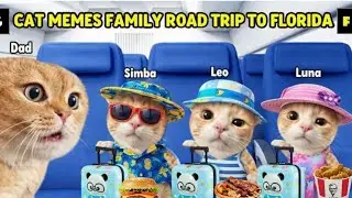 CAT MEMES FAMILY ROAD TRIP TO FLORIDA BEACH 🚗🌴