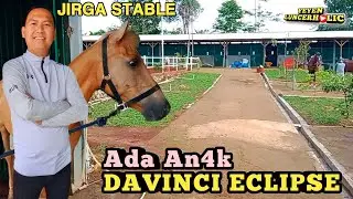 Review Santai Kuda-kuda  JIRGA STABLE PURWAKARTA | Part I