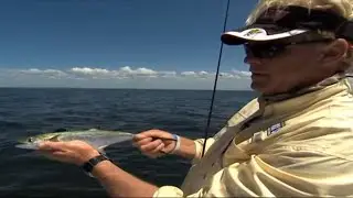 Big Bend North Florida Fishing for Redfish and Speckled Sea Trout