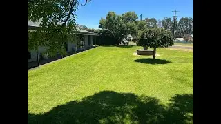 6 Weeks Post Lawn Renovation