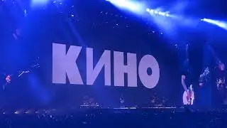 Кино - Кукушка 2024