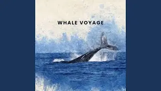 Whale Space (Special Version)