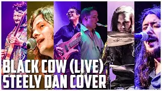 Black Cow (STEELY DAN COVER) Live at the Wildey Theatre, 4/16/22