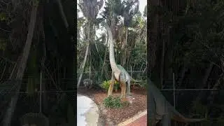We love them all equally  #westpalmbeach #engagewithscience #science4life #dinosaur