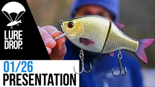 Présentation de la LUREDROP 01/26
