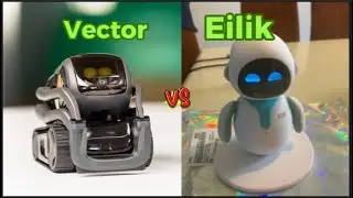 What is the difference between Eilik and Vector robots? Who is the best, Eilik or Vector?