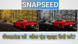 How to make background black and white in Snapseed