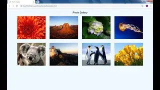 Photo Gallery using HTML and CSS | Easiest coding ever | By Blue Code