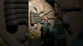POV: The Chamber of Secrets had been opened! 🐍 #shorts