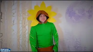 Quando ti Regalano una Pianta