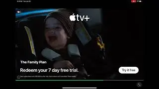 Please don’t mind the ads